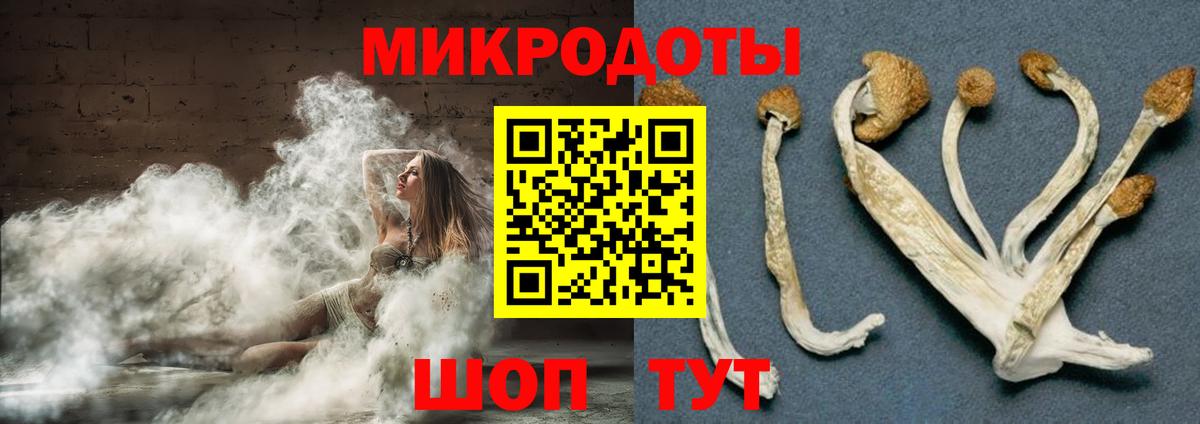 Псилоцибиновые грибы Psilocybe  Вход с VPN  Светлоград 